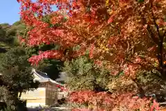 大國主神社の景色