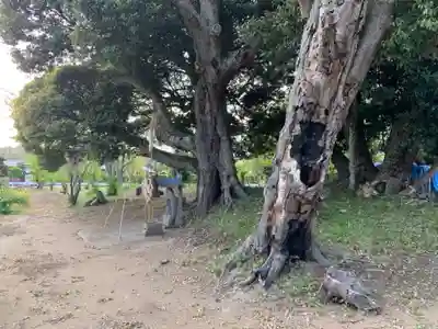 稲荷神社(千葉県)