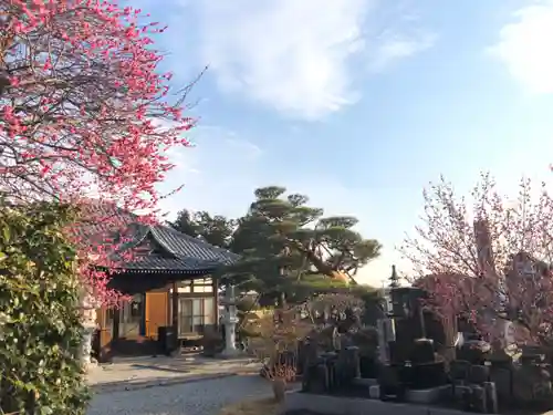 法源寺のその他建物
