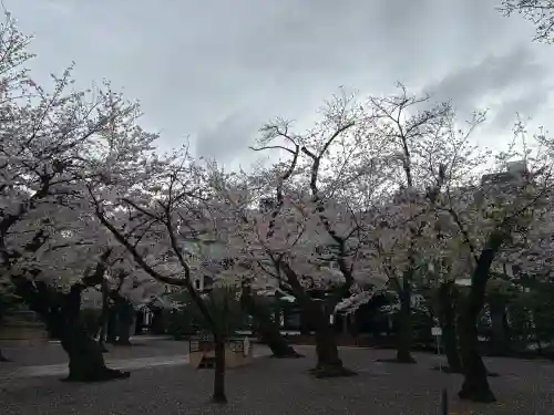 靖國神社の{uncategorized: "未分類", other: "その他", undefined: "問題あり", building: "その他建物", grave: "お墓", sacred_gate: "鳥居", guardian: "狛犬", statue: "像", buddha: "仏像", history: "歴史", nature: "自然", garden: "庭園", animal: "動物", pagoda: "塔", temizu: "手水舎", mountain_gate: "山門・神門", sanctuary: "本殿・本堂", subordinate: "末社・摂社", art: "芸術", scenery: "景色", jizo: "地蔵", ema: "絵馬", goshuin: "御朱印", omikuji: "おみくじ", items: "授与品その他", amulet: "お守り", goshuincho: "御朱印帳", eats: "食事", festival: "お祭り", votive_dance: "神楽", shichigosan: "七五三参", wedding: "結婚式", experience: "体験その他", initially: "初詣", around: "周辺", anti_infection: "感染症対策"}