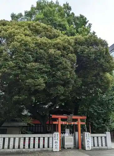 花園神社(東京都)