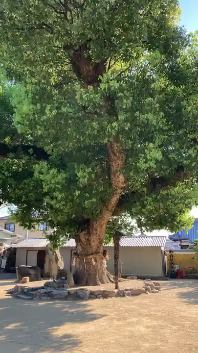 金倉寺(香川県)