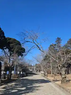 茨城縣護國神社(茨城県)