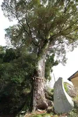 日枝神社(静岡県)