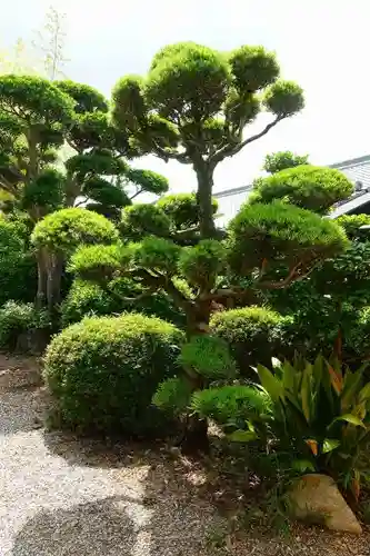 大安寺の庭園