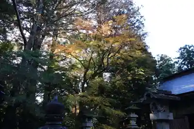菅船神社のその他建物