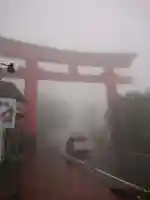 箱根神社の鳥居