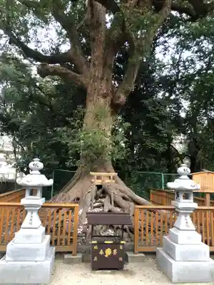 和泉國一之宮　大鳥大社(大阪府)