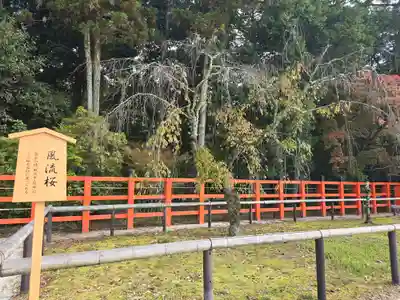 賀茂別雷神社（上賀茂神社）(京都府)