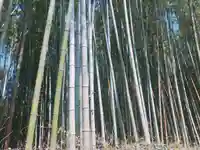 天龍寺(京都府)