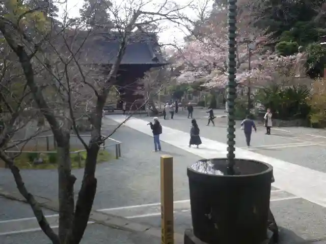 妙本寺のその他建物