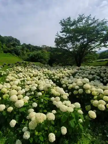 陽林寺(福島県)