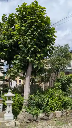 八葉峰寺の自然