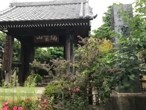 寶安寺（宝安寺）の山門・神門
