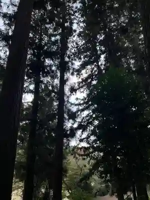 大宮温泉神社(栃木県)