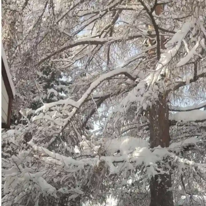 彌彦神社 (伊夜日子神社)の自然