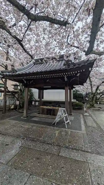 天孫神社(滋賀県)