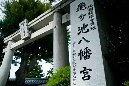 亀ケ池八幡宮の鳥居