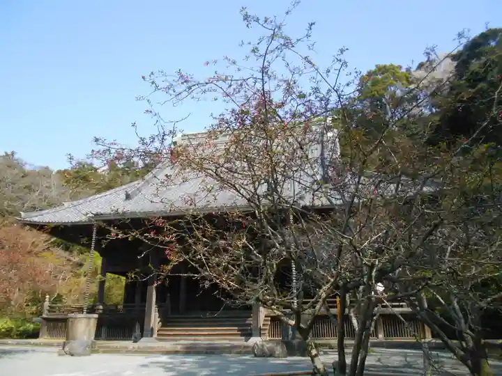 妙本寺の本殿・本堂