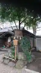 日置神社の自然