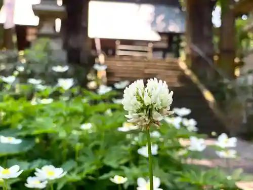 山家神社の自然