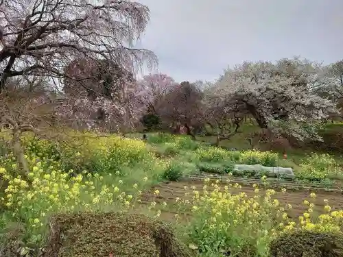 高蔵寺(東京都)