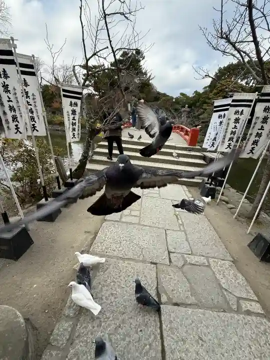 旗上弁財天社の{uncategorized: "未分類", other: "その他", undefined: "問題あり", building: "その他建物", grave: "お墓", sacred_gate: "鳥居", guardian: "狛犬", statue: "像", buddha: "仏像", history: "歴史", nature: "自然", garden: "庭園", animal: "動物", pagoda: "塔", temizu: "手水舎", mountain_gate: "山門・神門", sanctuary: "本殿・本堂", subordinate: "末社・摂社", art: "芸術", scenery: "景色", jizo: "地蔵", ema: "絵馬", goshuin: "御朱印", omikuji: "おみくじ", items: "授与品その他", amulet: "お守り", goshuincho: "御朱印帳", eats: "食事", festival: "お祭り", votive_dance: "神楽", shichigosan: "七五三参", wedding: "結婚式", experience: "体験その他", initially: "初詣", around: "周辺", anti_infection: "感染症対策"}