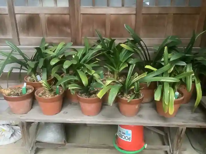 観音寺(愛知県)