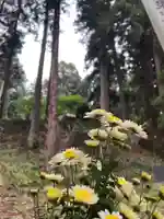 大宮温泉神社(栃木県)