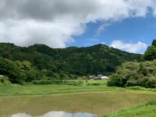 賀茂神社の景色