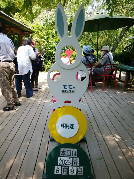 明月院(神奈川県)