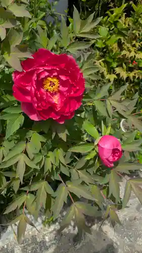 乘願院(京都府)