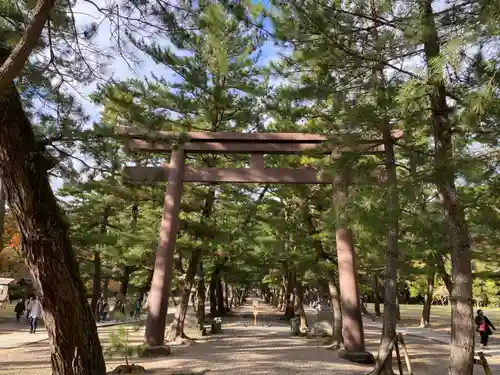 出雲大社(島根県)