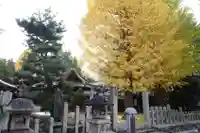 桃山天満宮(京都府)