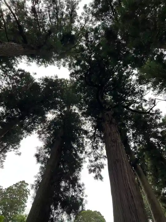 大宮温泉神社(栃木県)