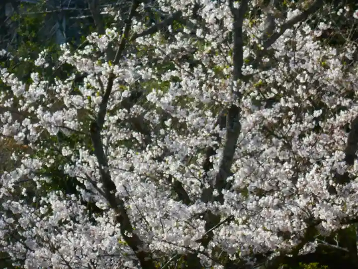 葛原岡神社の自然