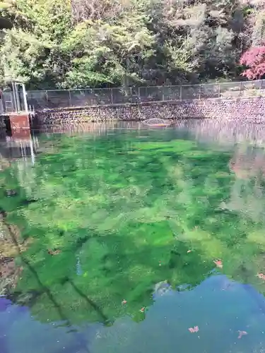 狩野厳島神社(神奈川県)