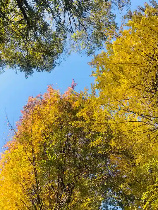 穏田神社の自然