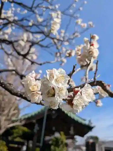 福蔵院(東京都)
