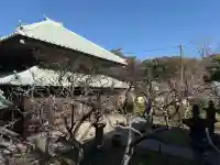 英勝寺の{uncategorized: "未分類", other: "その他", undefined: "問題あり", building: "その他建物", grave: "お墓", sacred_gate: "鳥居", guardian: "狛犬", statue: "像", buddha: "仏像", history: "歴史", nature: "自然", garden: "庭園", animal: "動物", pagoda: "塔", temizu: "手水舎", mountain_gate: "山門・神門", sanctuary: "本殿・本堂", subordinate: "末社・摂社", art: "芸術", scenery: "景色", jizo: "地蔵", ema: "絵馬", goshuin: "御朱印", omikuji: "おみくじ", items: "授与品その他", amulet: "お守り", goshuincho: "御朱印帳", eats: "食事", festival: "お祭り", votive_dance: "神楽", shichigosan: "七五三参", wedding: "結婚式", experience: "体験その他", initially: "初詣", around: "周辺", anti_infection: "感染症対策"}