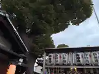 中井神社(大阪府)