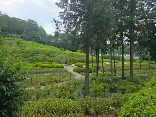三室戸寺(京都府)