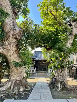 八坂大神(神奈川県)