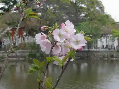 鶴岡八幡宮の庭園