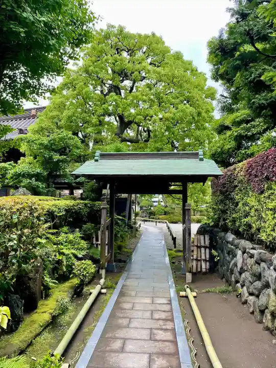 本蓮寺の山門・神門