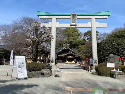 出雲大社相模分祠の鳥居