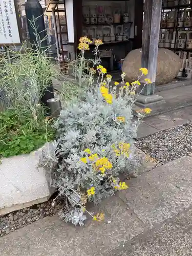 円頓寺(東京都)