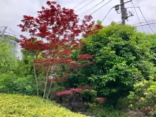 天妙国寺の{uncategorized: "未分類", other: "その他", undefined: "問題あり", building: "その他建物", grave: "お墓", sacred_gate: "鳥居", guardian: "狛犬", statue: "像", buddha: "仏像", history: "歴史", nature: "自然", garden: "庭園", animal: "動物", pagoda: "塔", temizu: "手水舎", mountain_gate: "山門・神門", sanctuary: "本殿・本堂", subordinate: "末社・摂社", art: "芸術", scenery: "景色", jizo: "地蔵", ema: "絵馬", goshuin: "御朱印", omikuji: "おみくじ", items: "授与品その他", amulet: "お守り", goshuincho: "御朱印帳", eats: "食事", festival: "お祭り", votive_dance: "神楽", shichigosan: "七五三参", wedding: "結婚式", experience: "体験その他", initially: "初詣", around: "周辺", anti_infection: "感染症対策"}