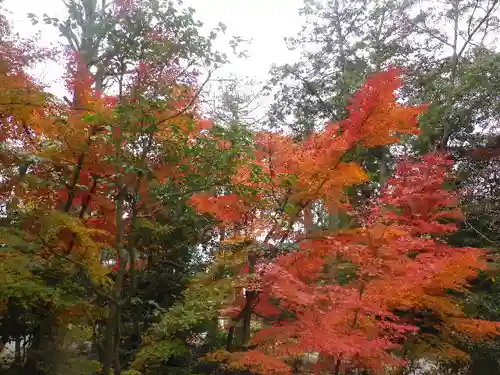 鶴岡八幡宮の自然