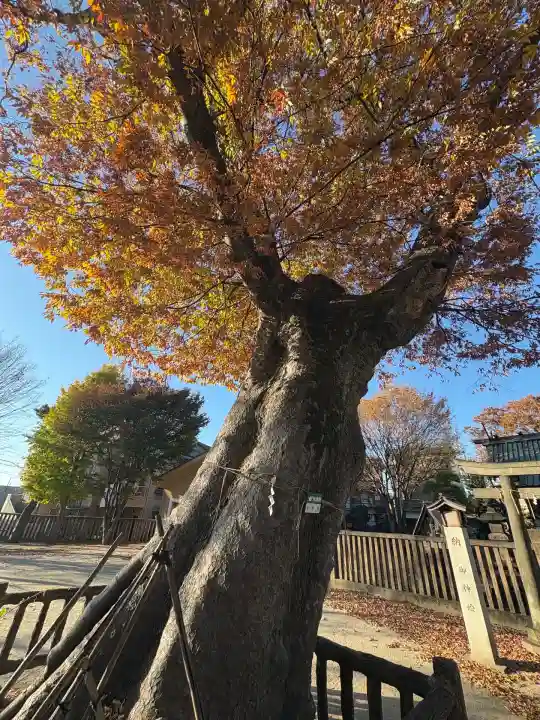 豊田神社(東京都)